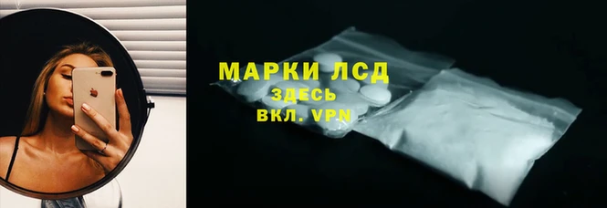 стафф Баксан