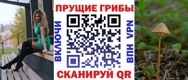 Галлюциногенные грибы Magic Shrooms  магазин  наркотиков  Покачи 